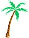 Palm-Tree-COLOR.jpg