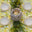 Round Tablecloth - Hanalei White