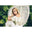 Kailua Off-the-Shoulder Top